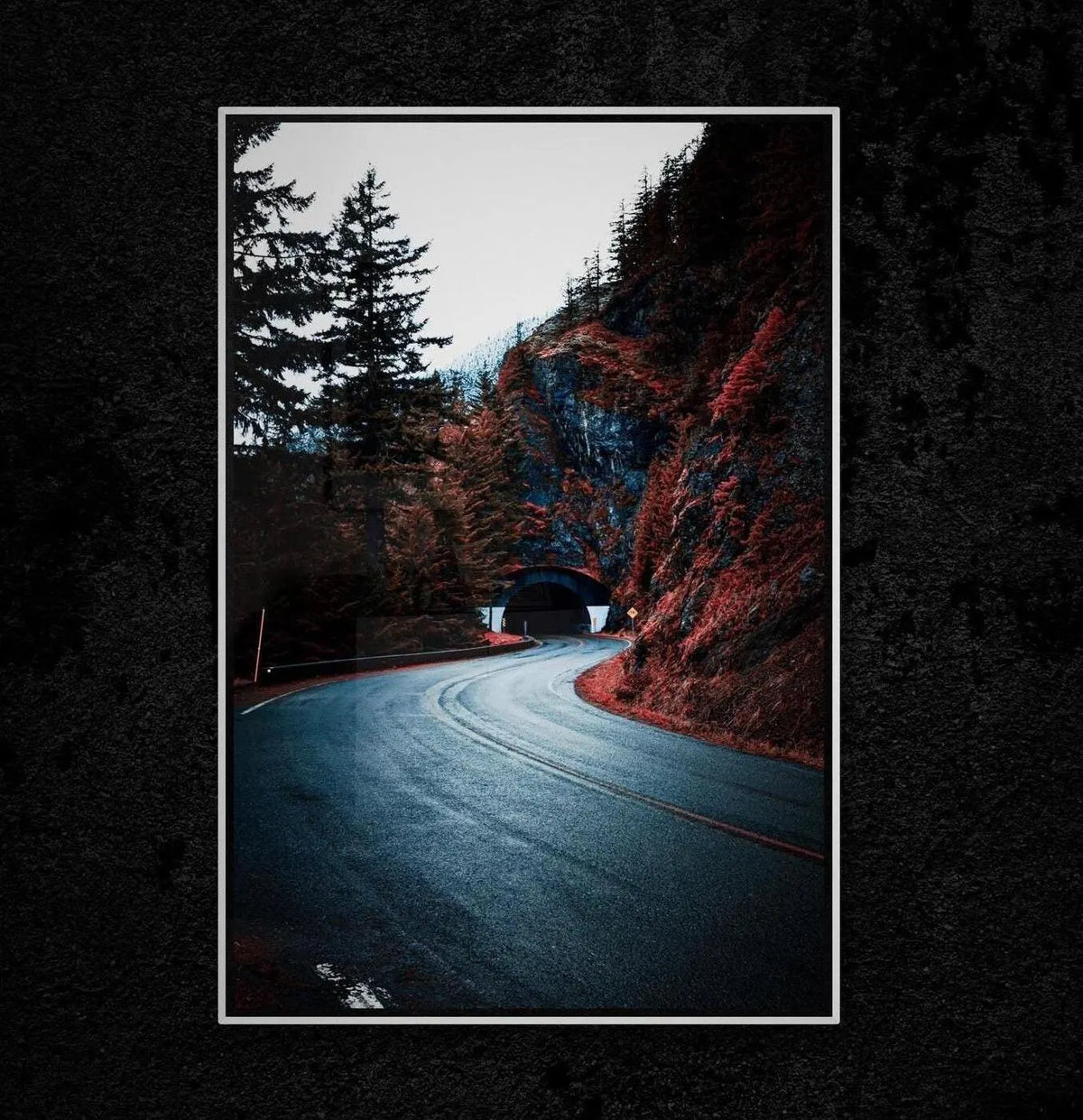 Olympic National Park Photography Print, Snowy Forest Tunnel, Pacific Northwest Art