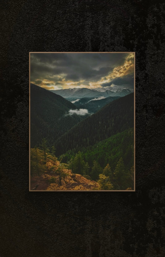 Olympic National Park Photography Print, Snowy Forest, Pacific Northwest Art
