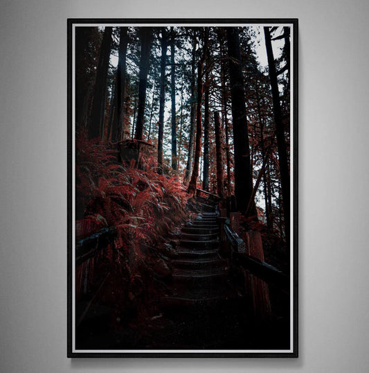 Red Forest Giclee Art Print, Olympic National Park