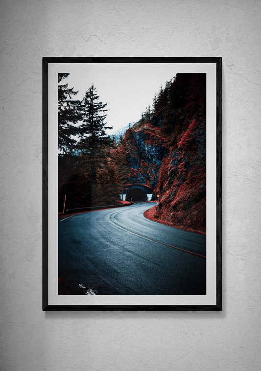 Olympic National Park Photography Print, Snowy Forest Tunnel, Pacific Northwest Art
