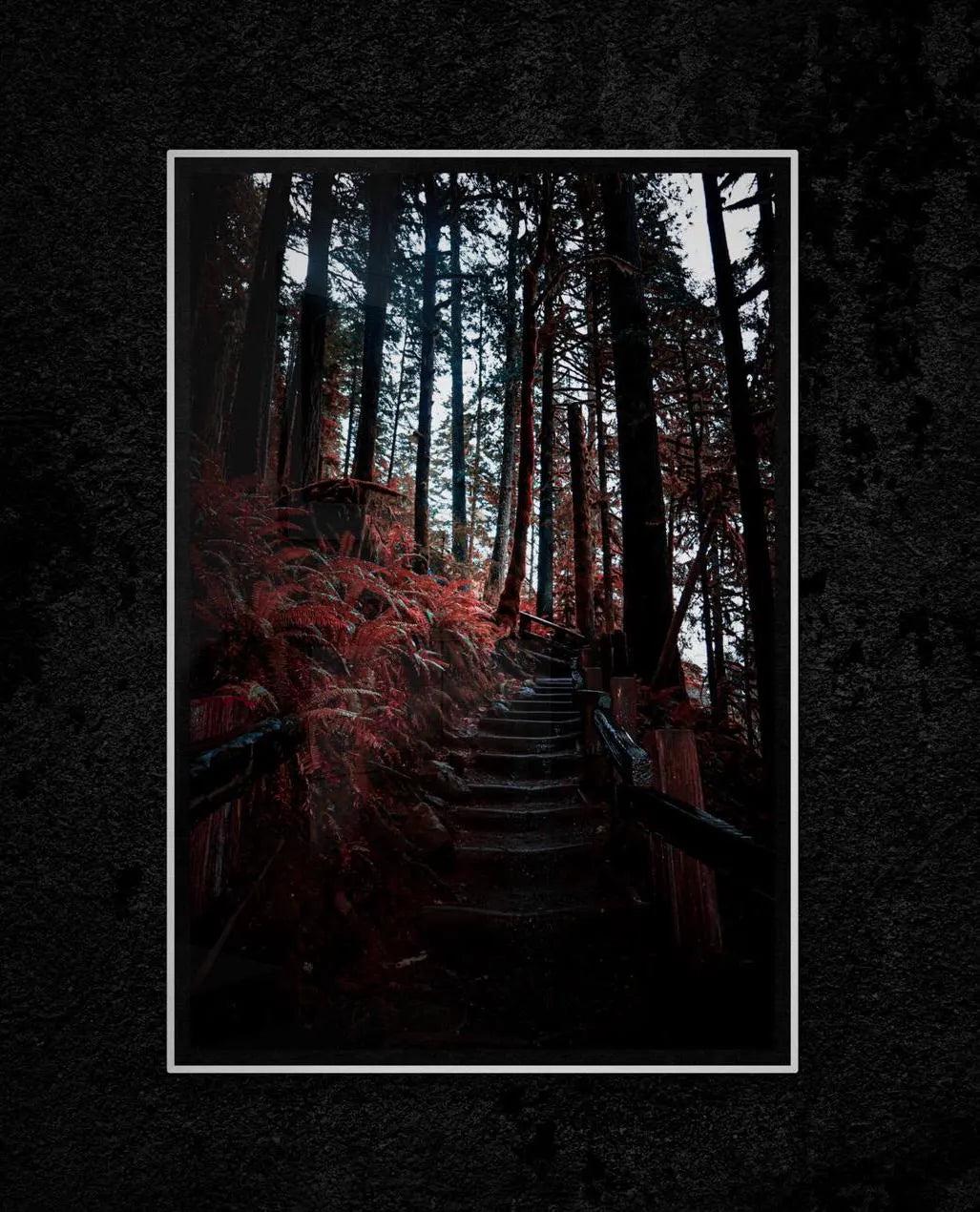 Red Forest Giclee Art Print, Olympic National Park