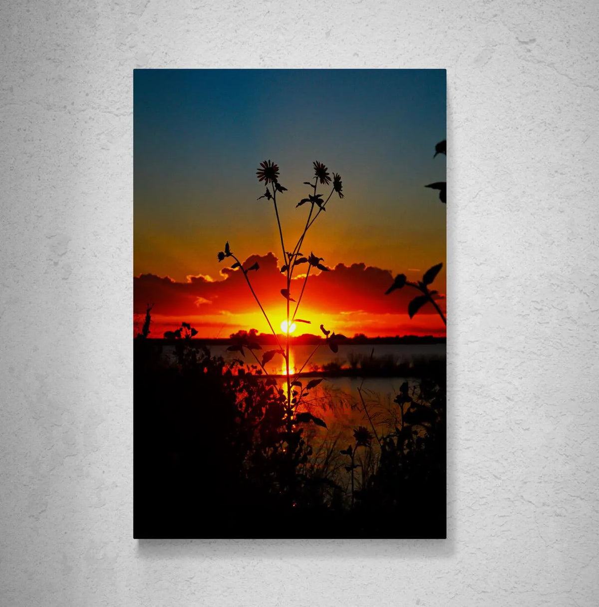 Oklahoma Sunset Photography Print, Sunflowers Over Lake
